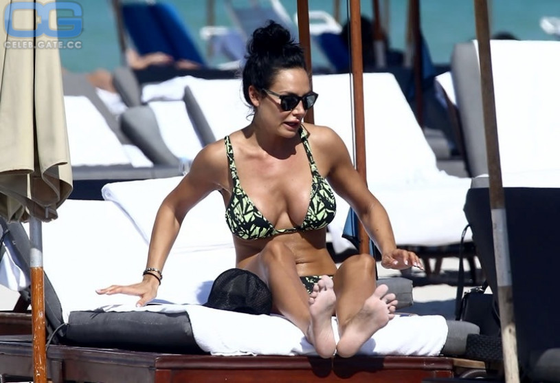 Nicole Minetti nude, pictures, photos, Playboy, naked, topless, fappening