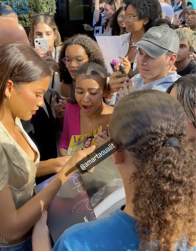 Zendaya Coleman nackt, Nacktbilder, Playboy, Nacktfotos, Fakes, Oben Ohne