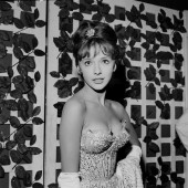Brenda Scott 