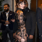 Dakota Johnson 