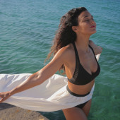 Emmanuelle Chriqui bikini