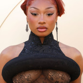 Megan Thee Stallion 