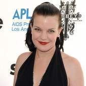 Pauley Perrette