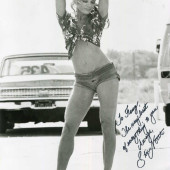 Sheree North 
