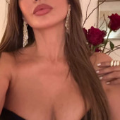 Sofia Vergara 