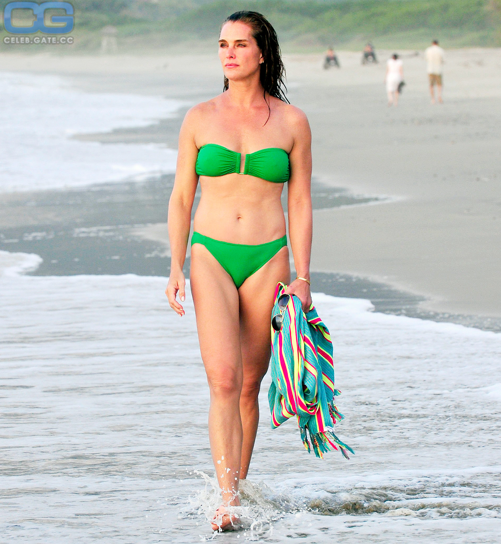 Brooke Shields bikini