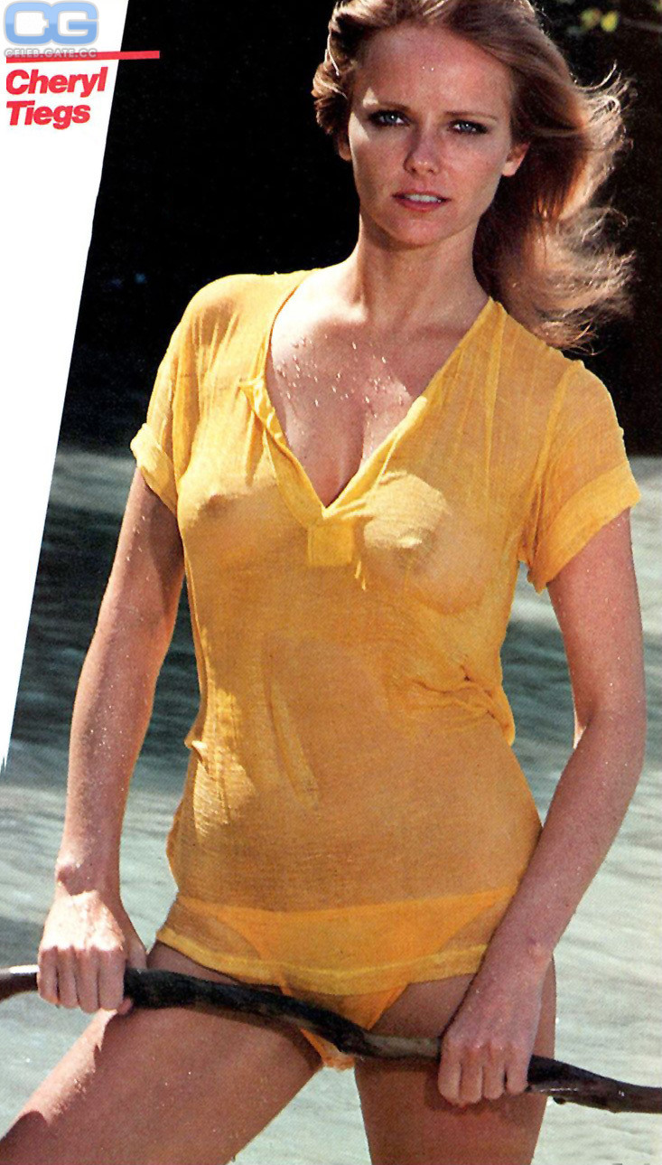 Cheryl tiegs fishnet