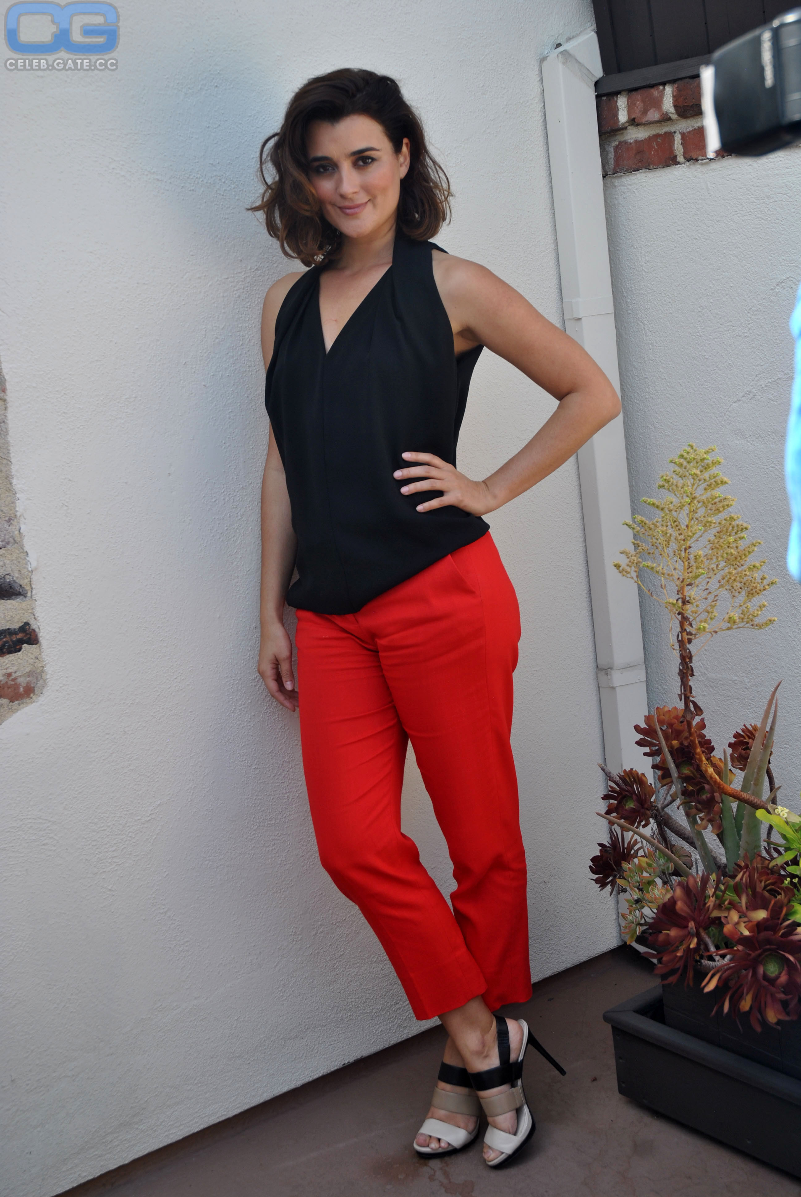 Cote De Pablo 