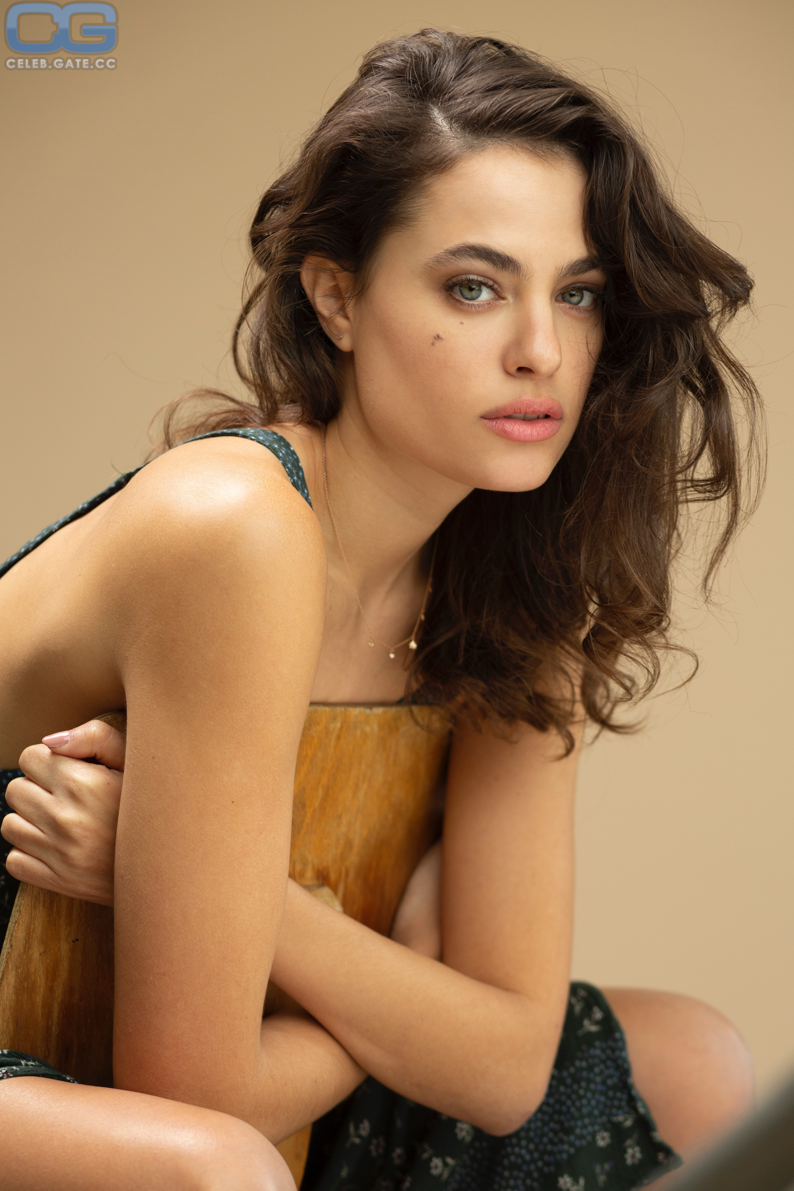 Dar Zuzovsky 