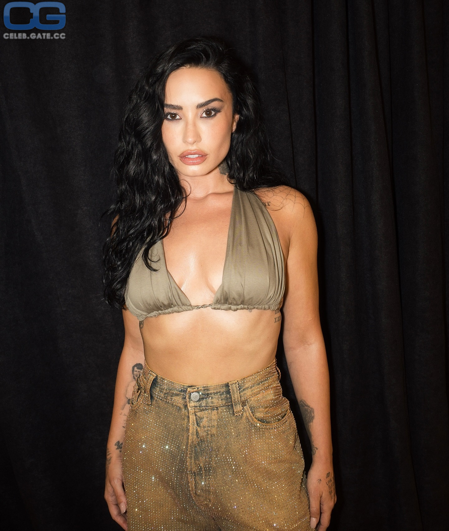 Demi Lovato 
