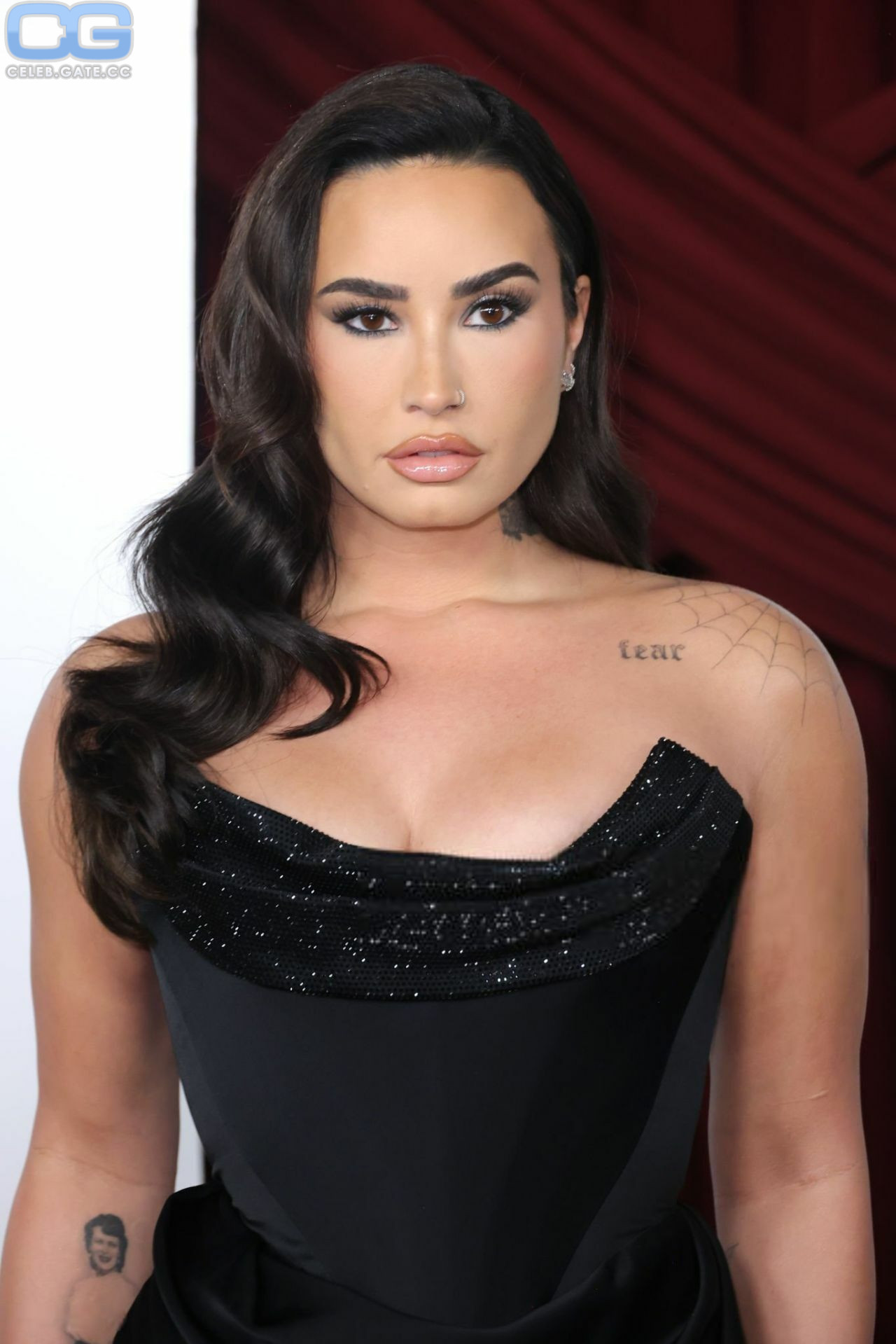 Demi Lovato 