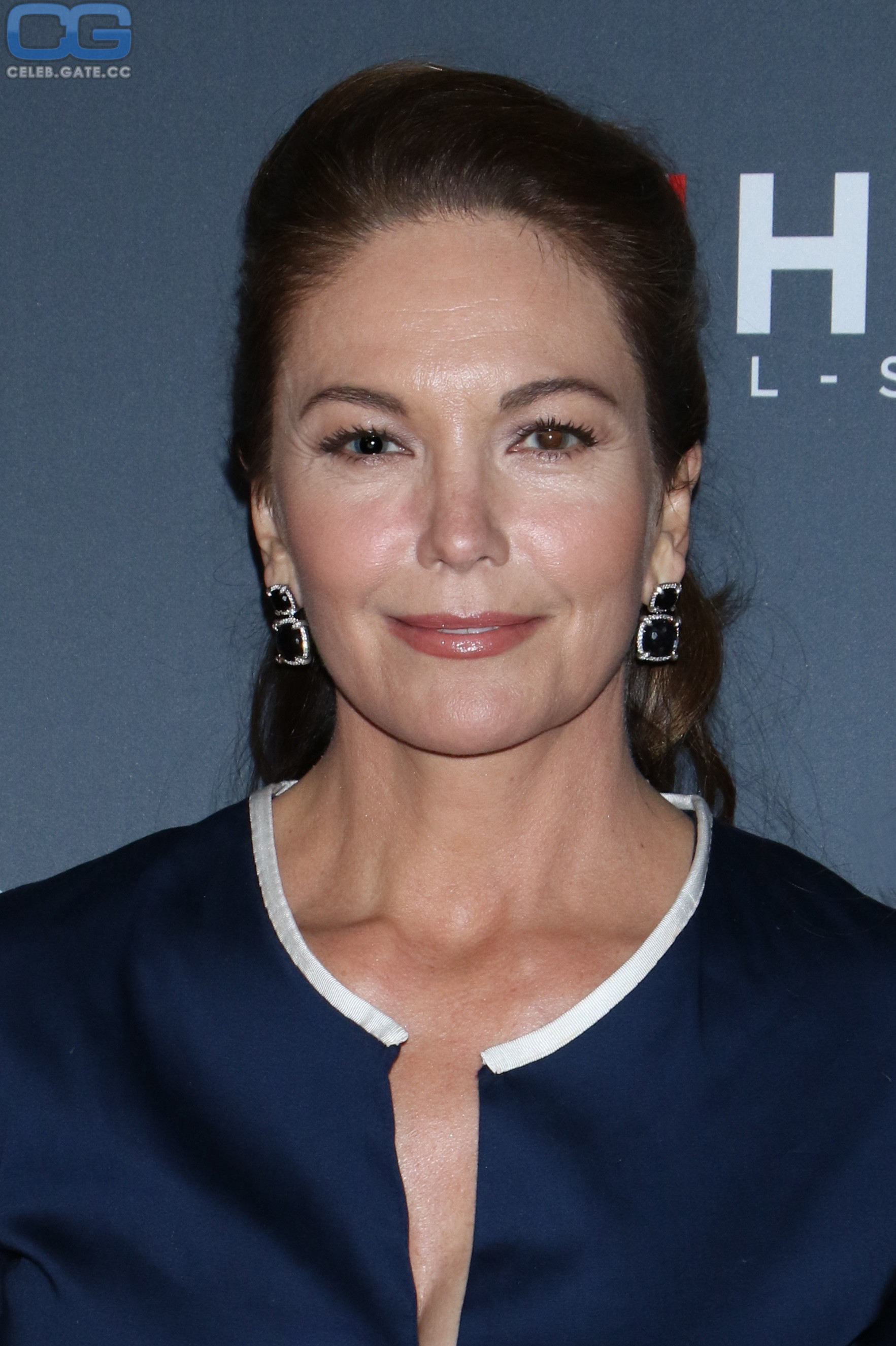 Diane Lane 