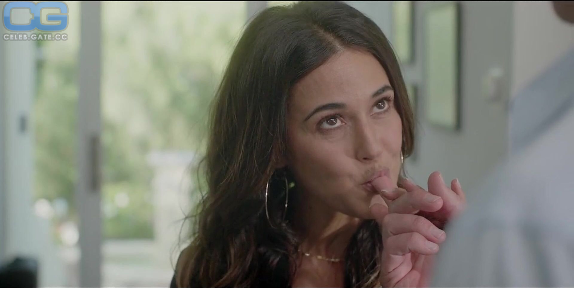 Emmanuelle Chriqui 