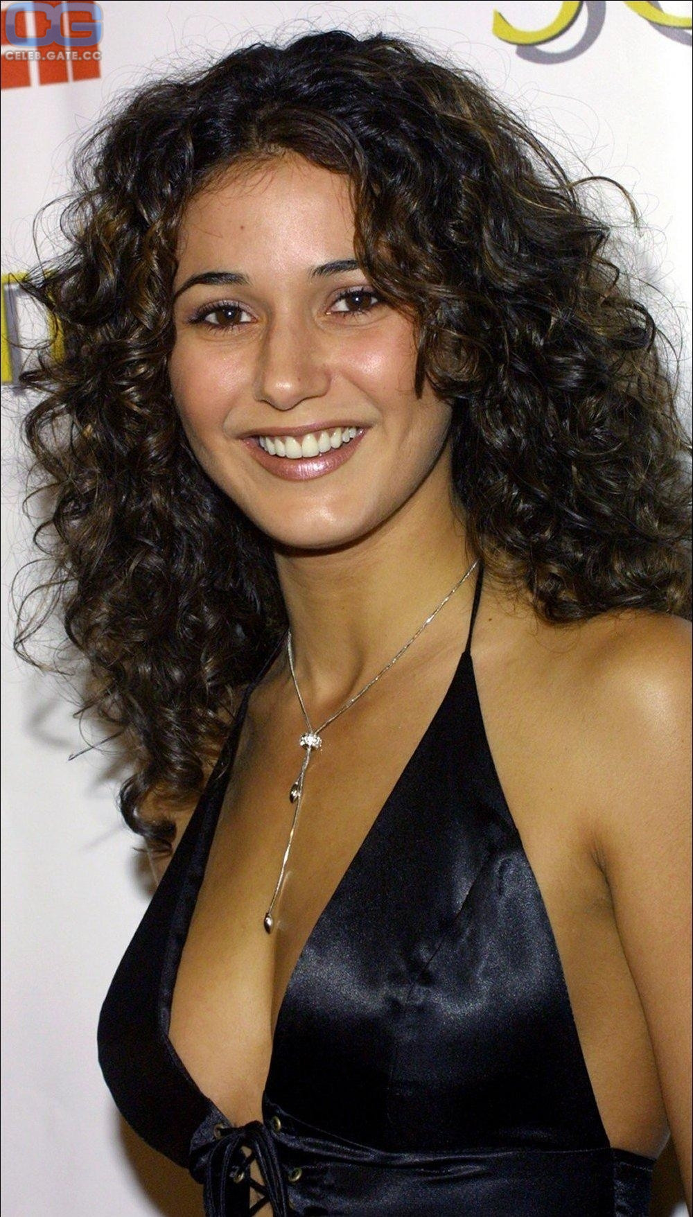 Emmanuelle Chriqui 