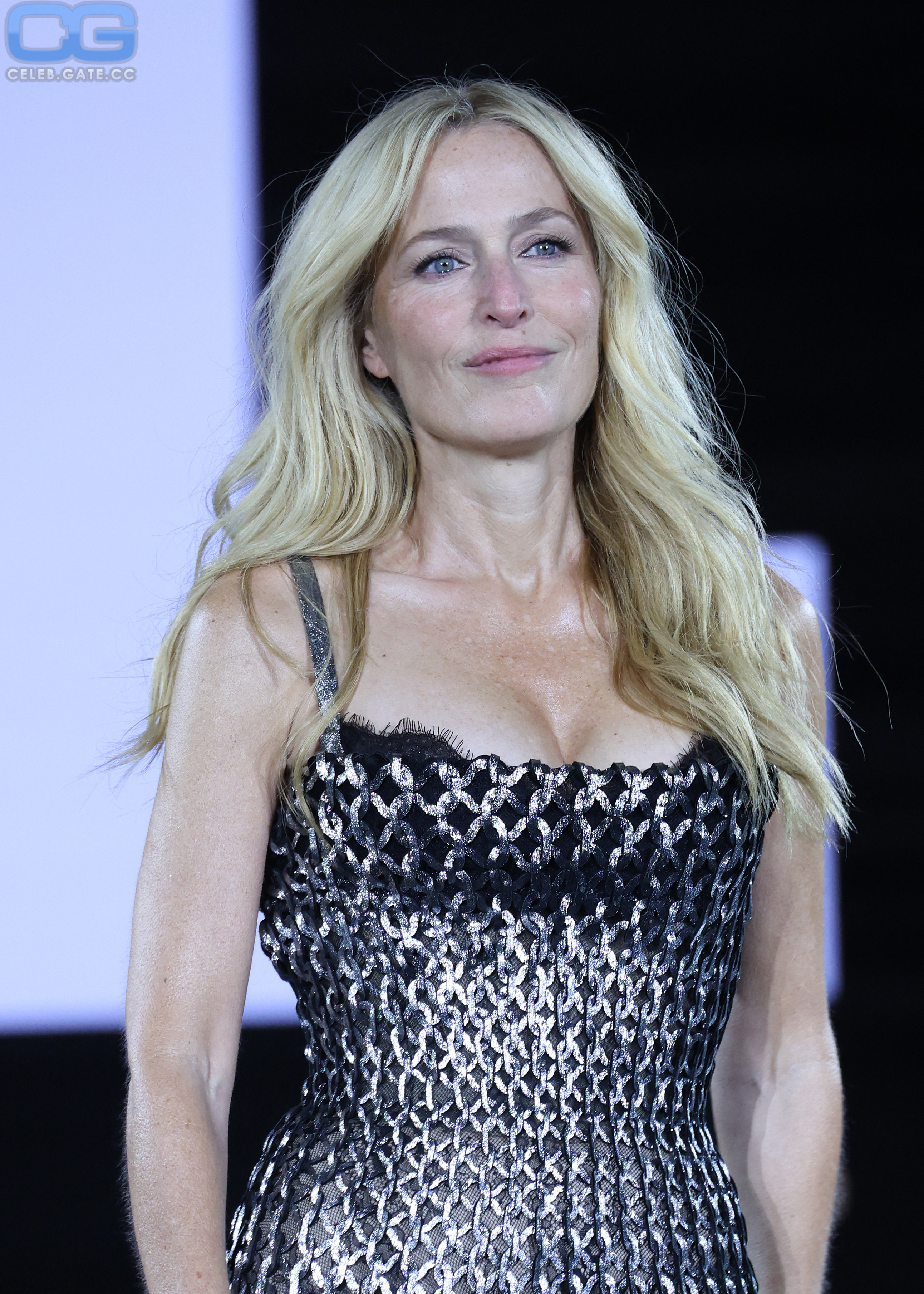 Gillian Anderson 