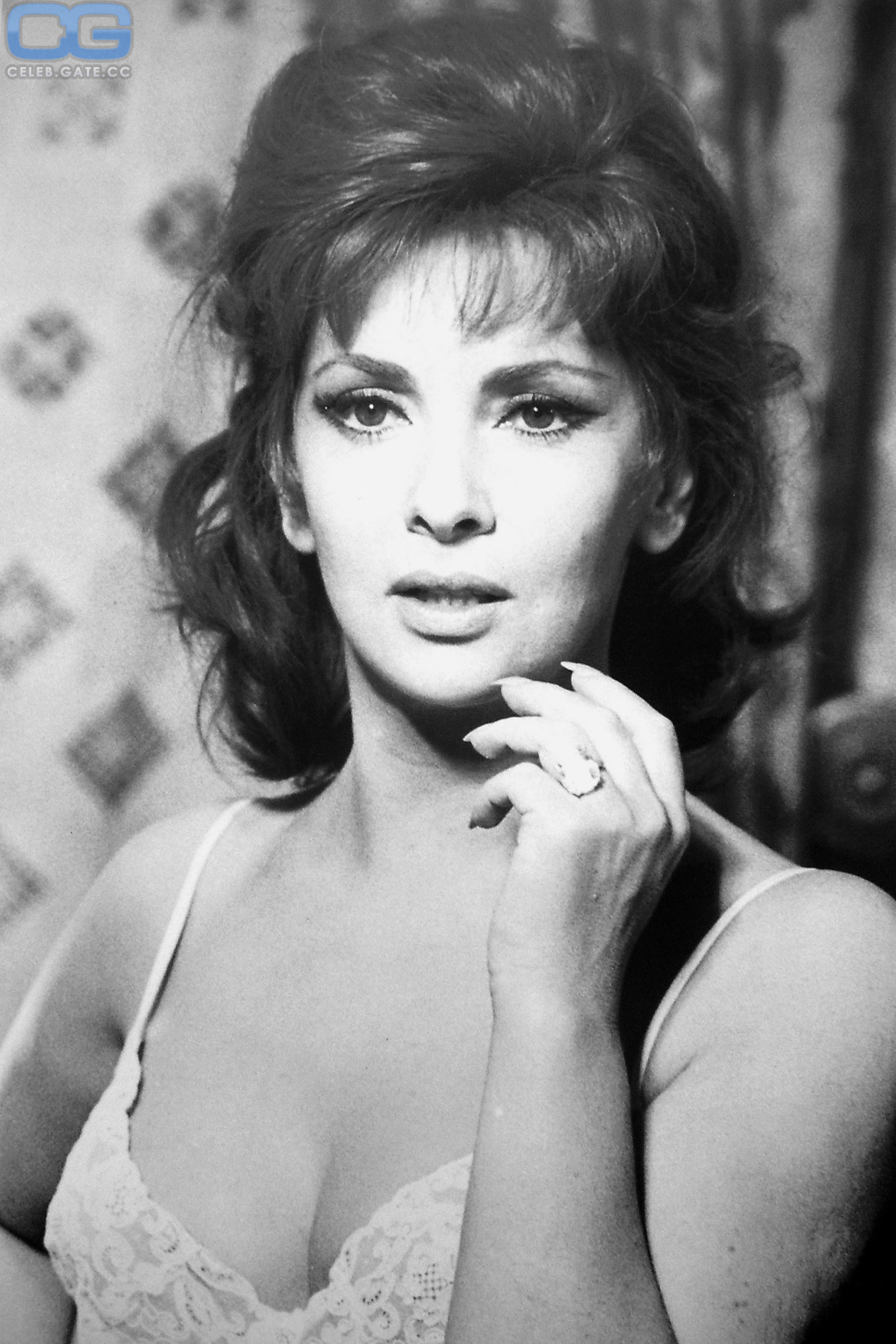 Gina Lollobrigida 