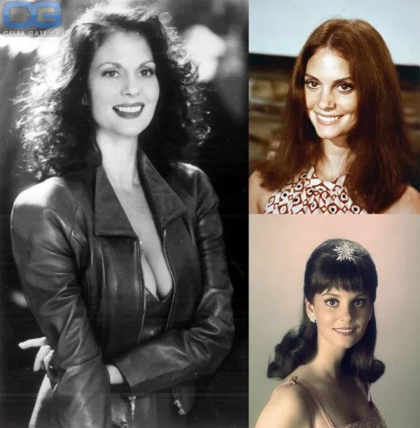 Lesley Ann Warren 