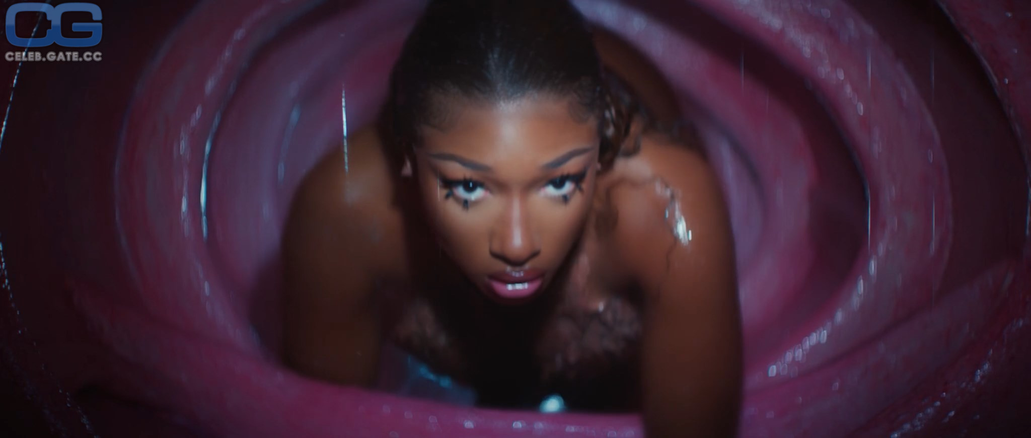 Megan Thee Stallion 