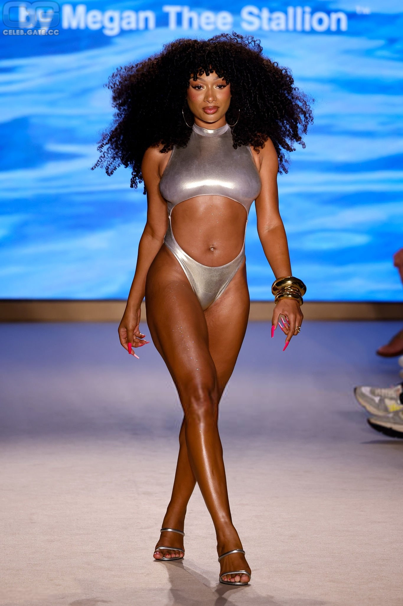Megan Thee Stallion 