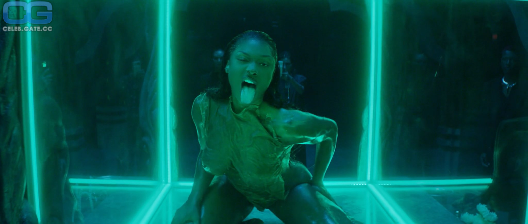 Megan Thee Stallion 