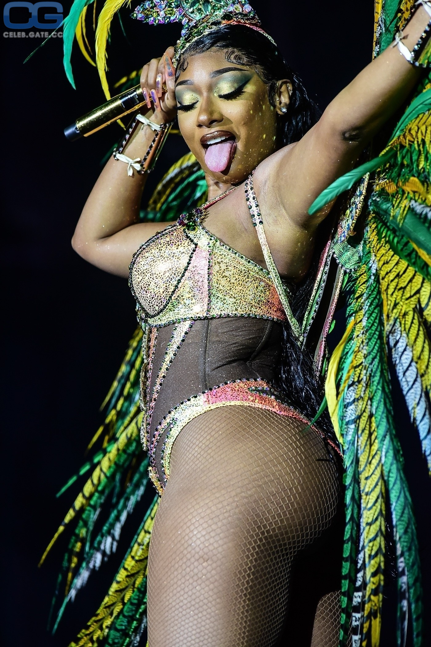 Megan Thee Stallion 