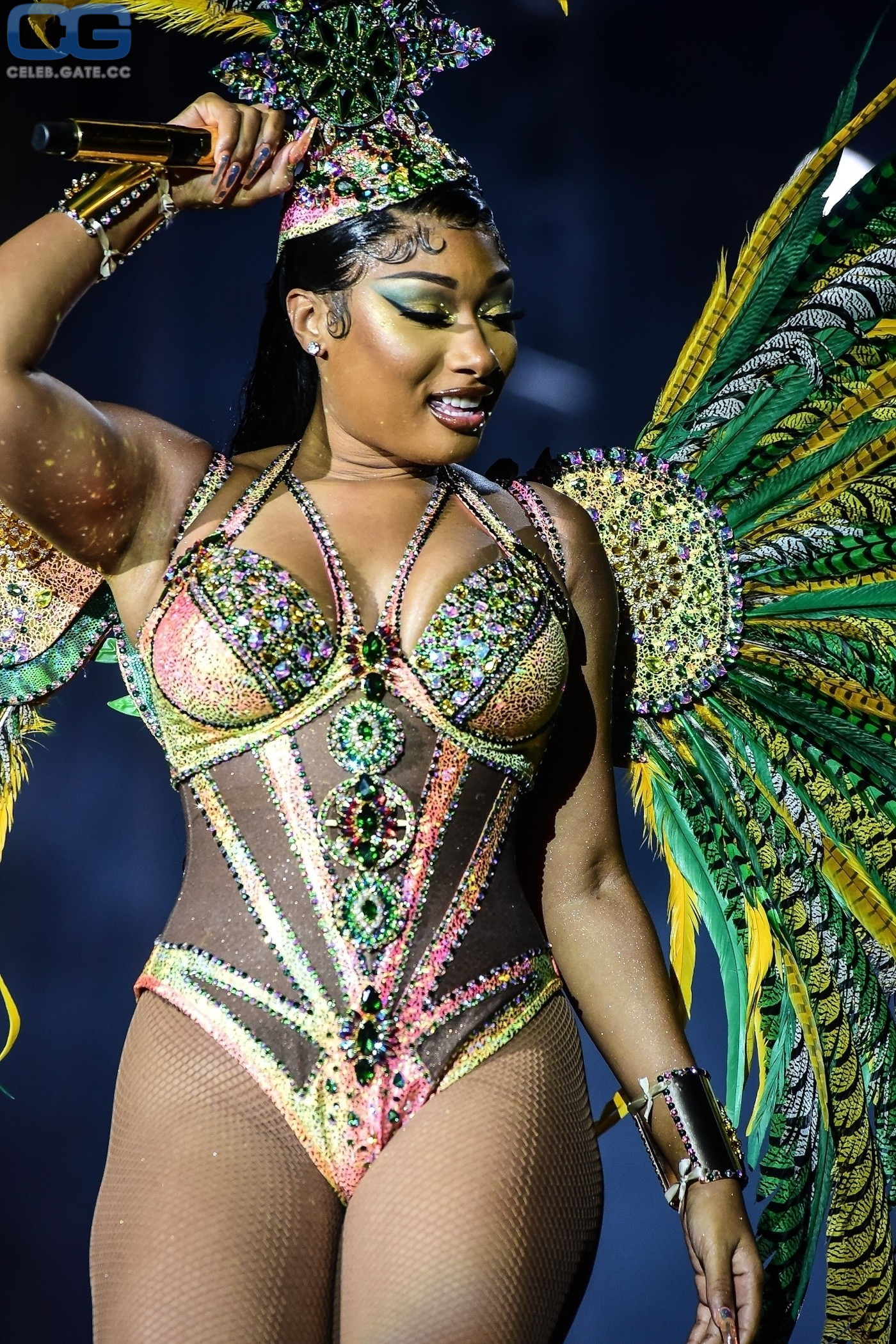 Megan Thee Stallion 