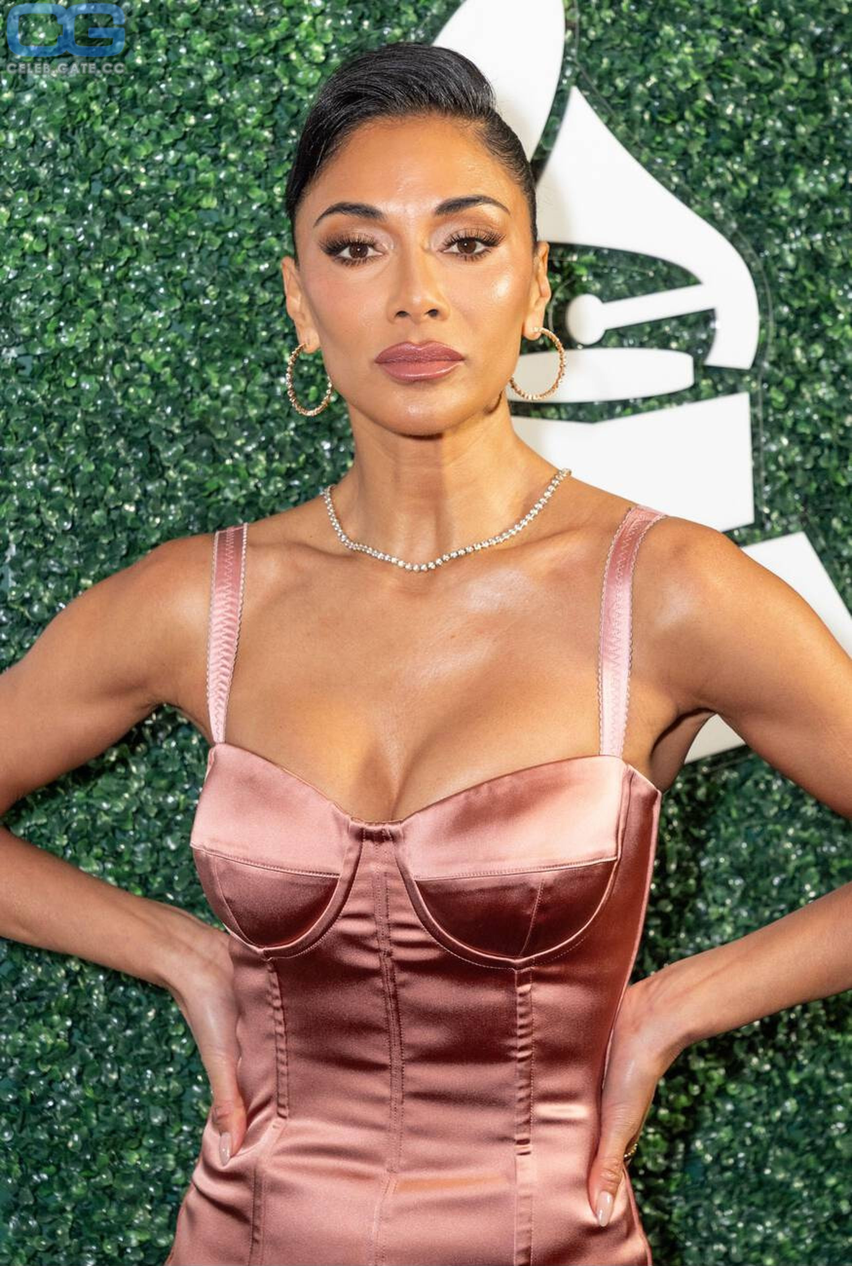 Nicole Scherzinger 