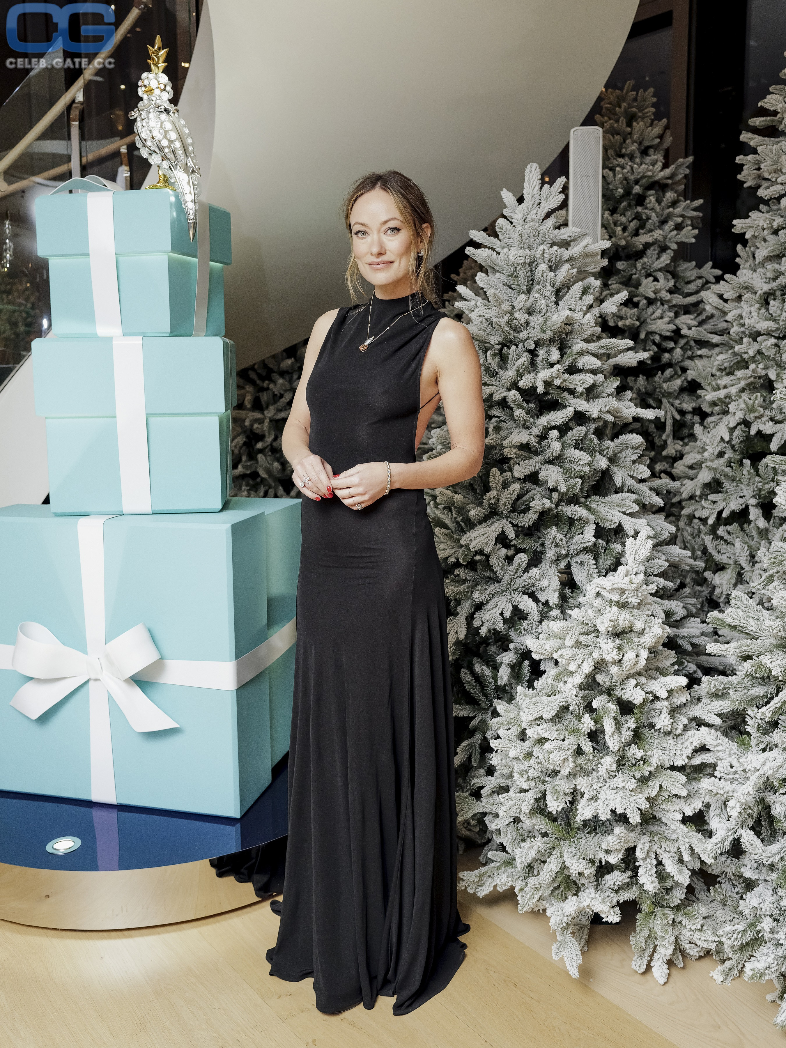Olivia Wilde 