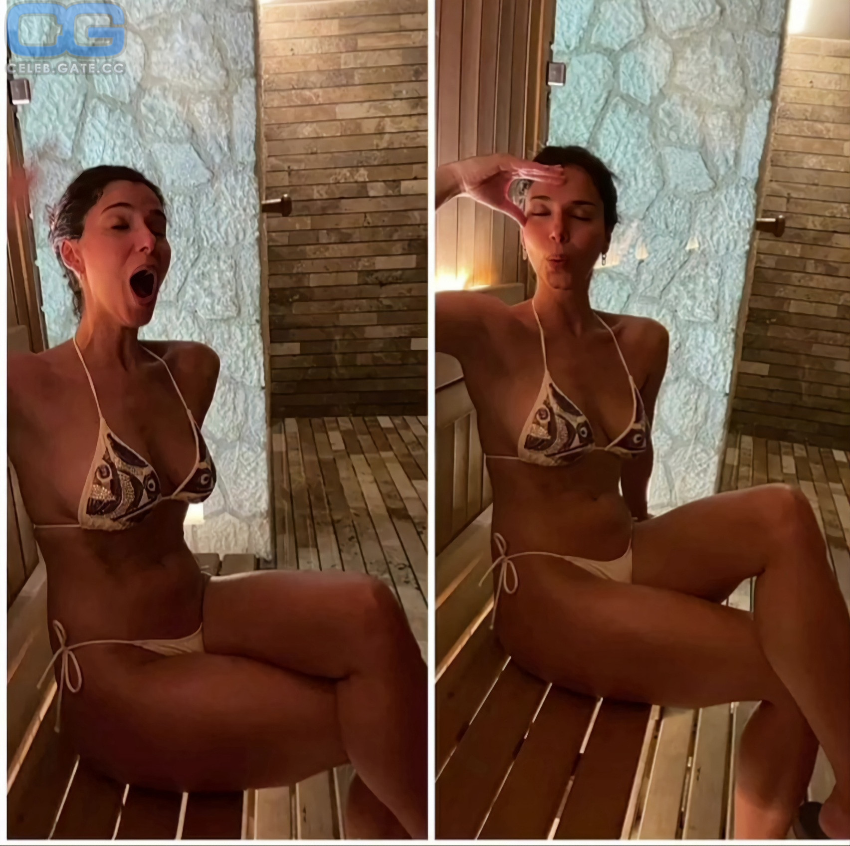 Roselyn Sanchez 
