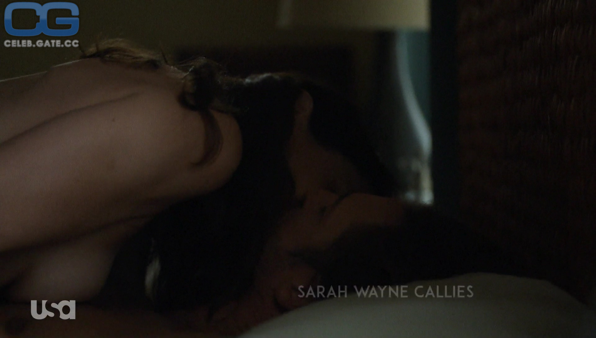 Sarah Wayne Callies sex scene