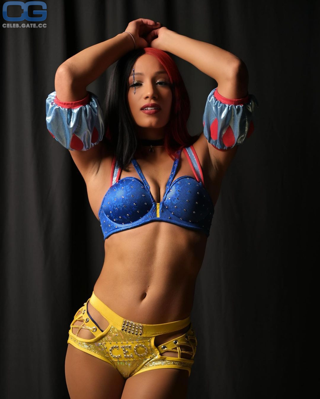 Sasha Banks 