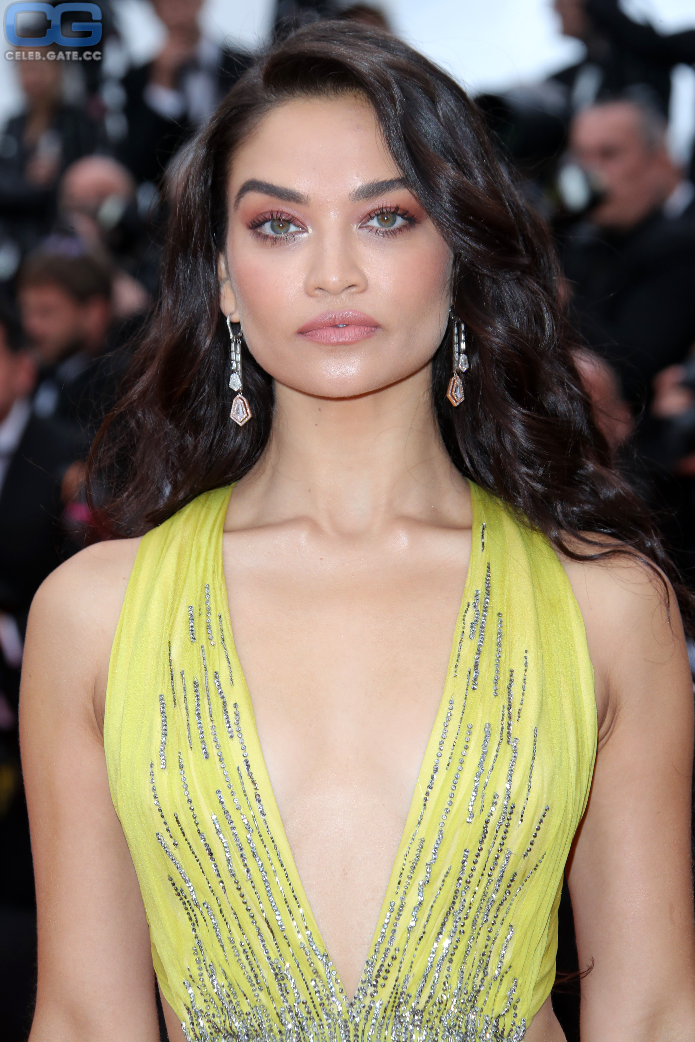 Shanina Shaik cleavage