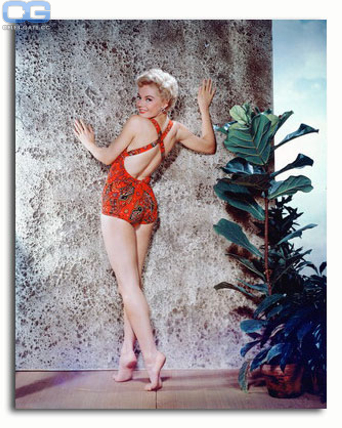 Sheree North 