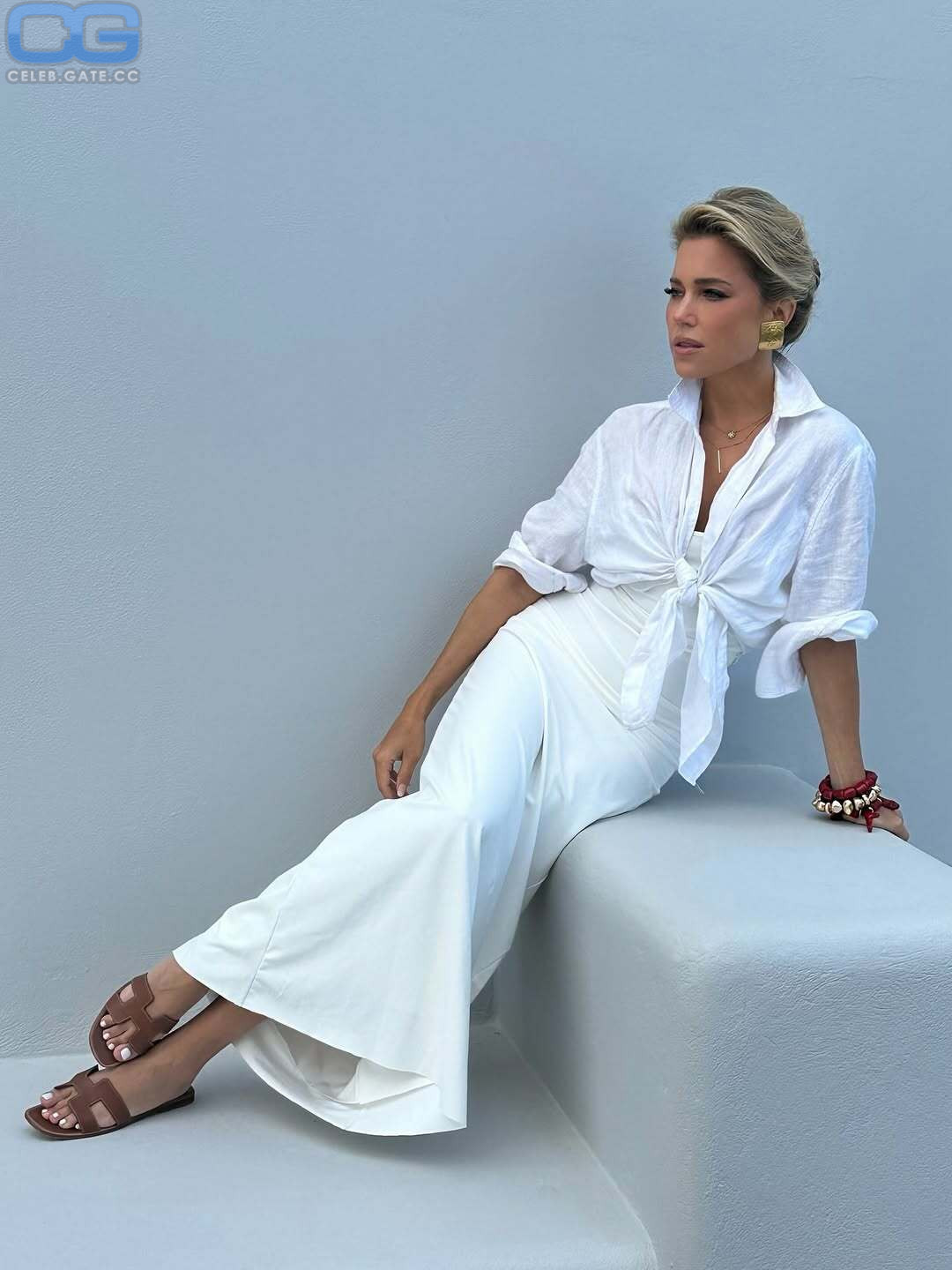 Sylvie Meis 
