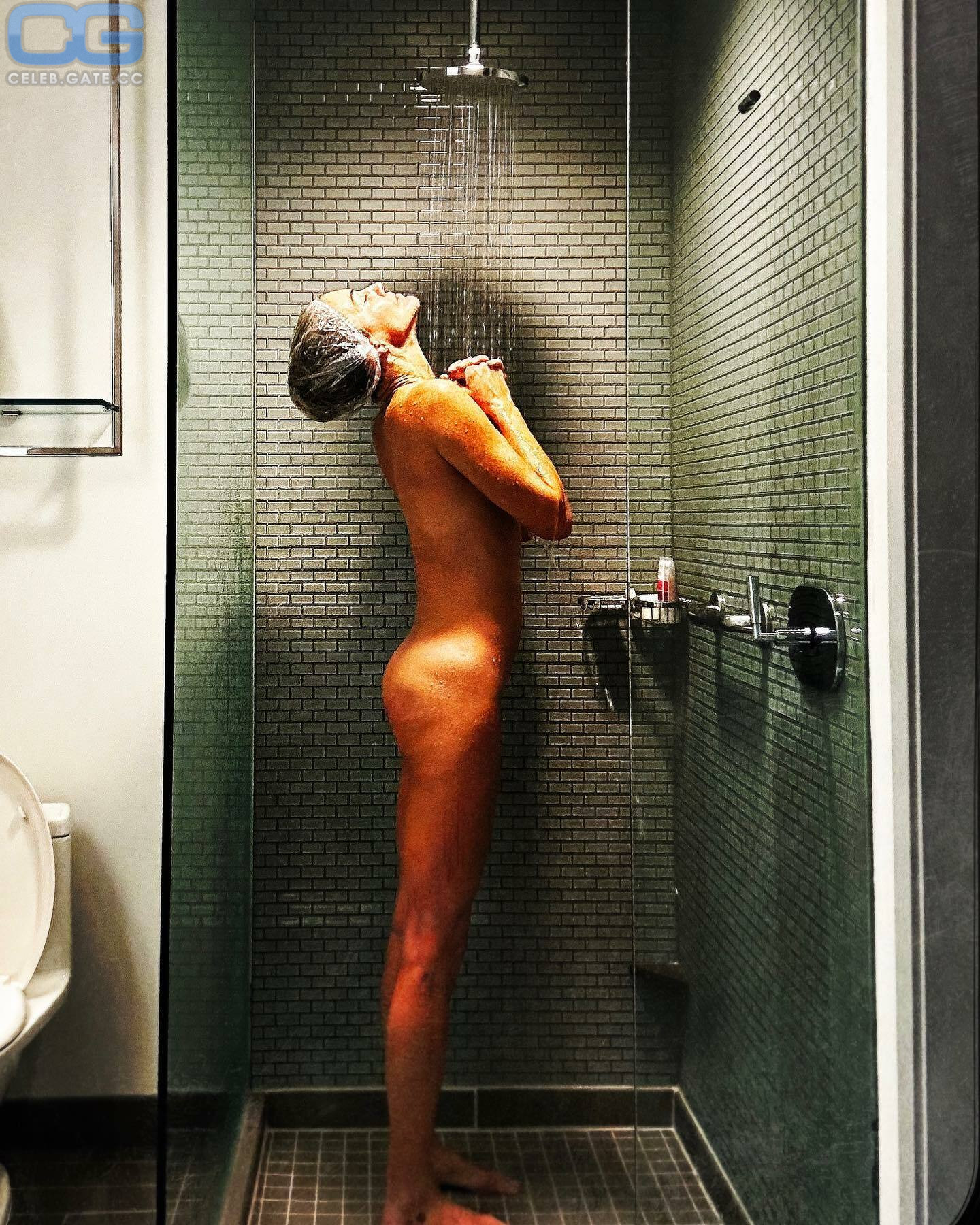 Tricia Helfer 