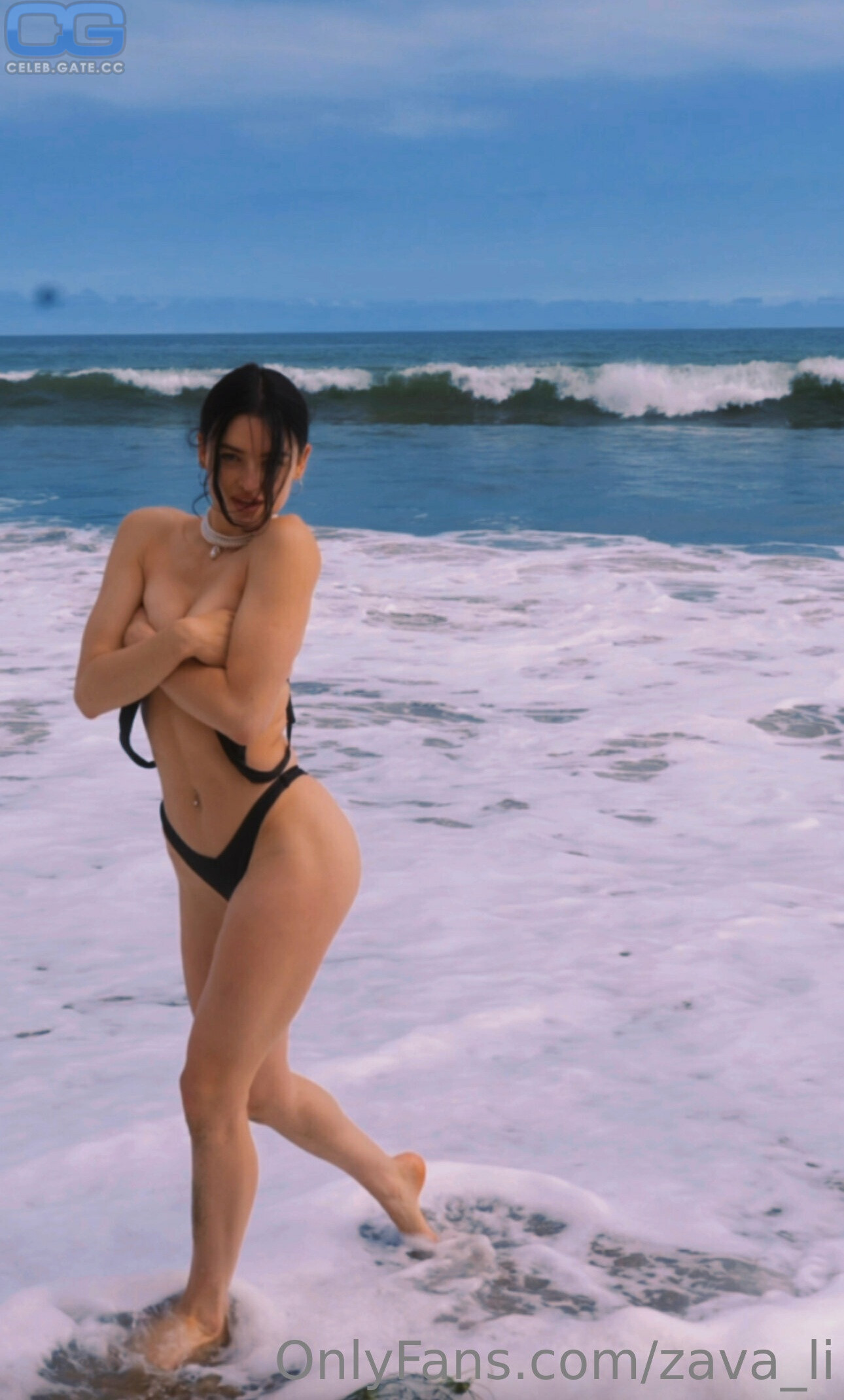 Zava_li 